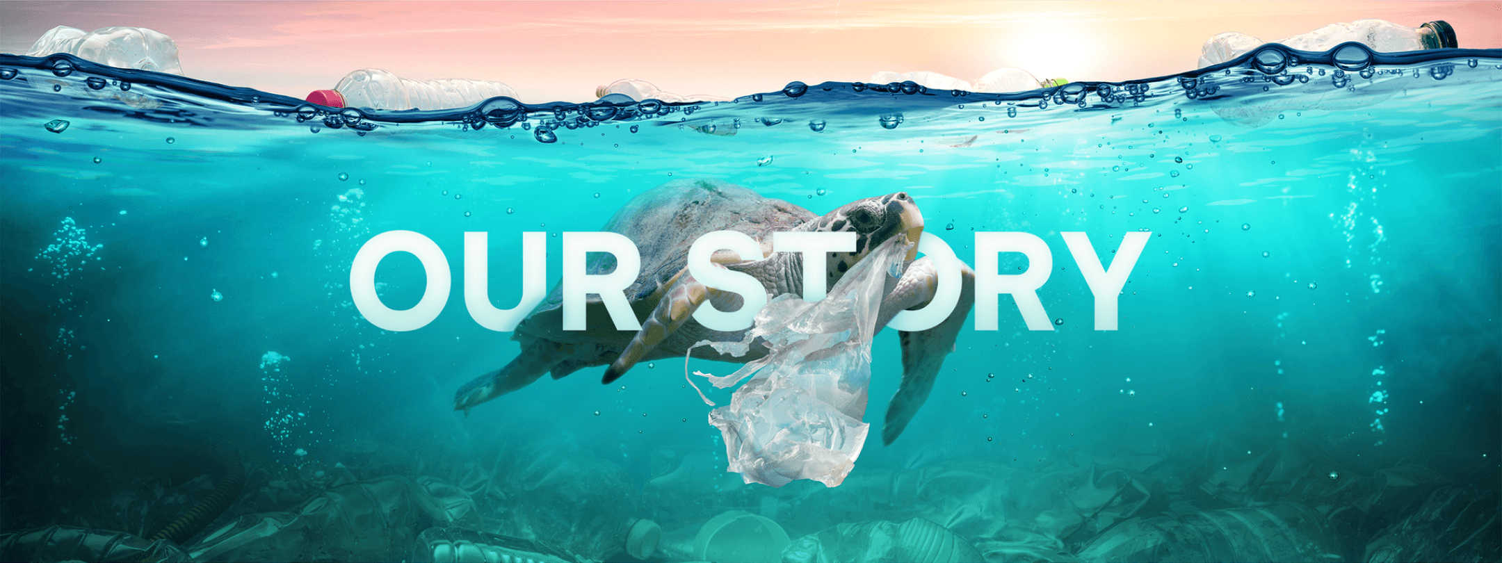 banner-ourstory